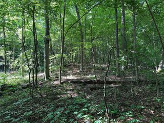 0 M-60, Cassopolis, MI 49031