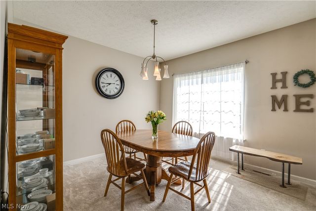163 Newton Drive, Wadsworth, OH 44281