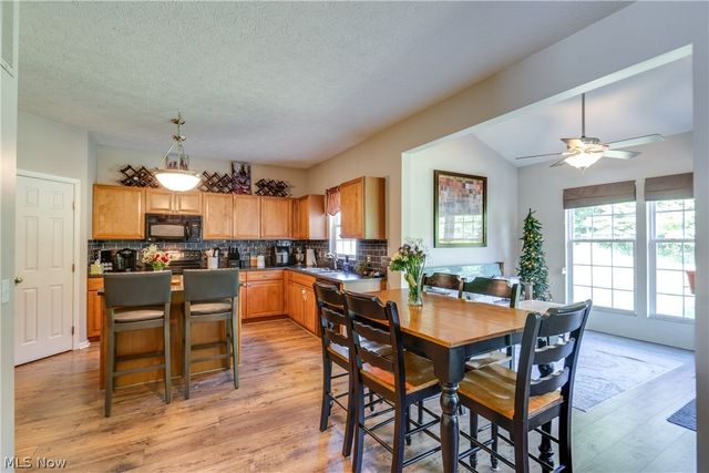 163 Newton Drive, Wadsworth, OH 44281