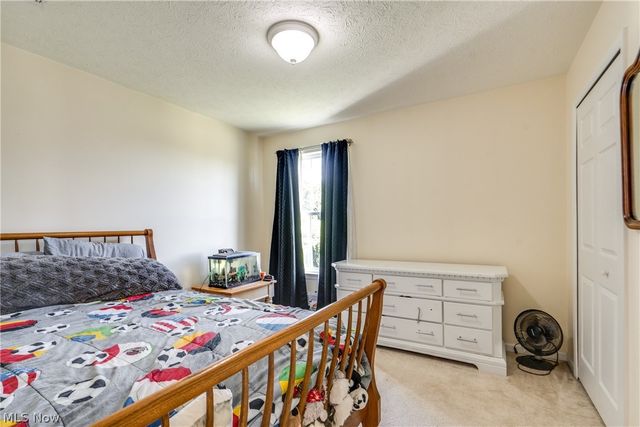 163 Newton Drive, Wadsworth, OH 44281