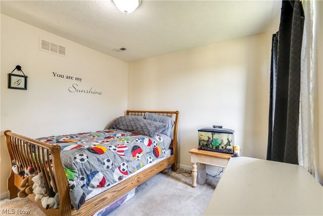 163 Newton Drive, Wadsworth, OH 44281