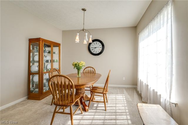 163 Newton Drive, Wadsworth, OH 44281