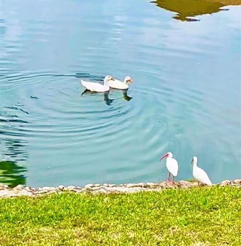 6 SALISBURY COURT 6, Palm Coast, FL 32137