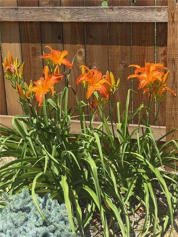 1108 Bluestem Drive, Baldwin City, KS 66006