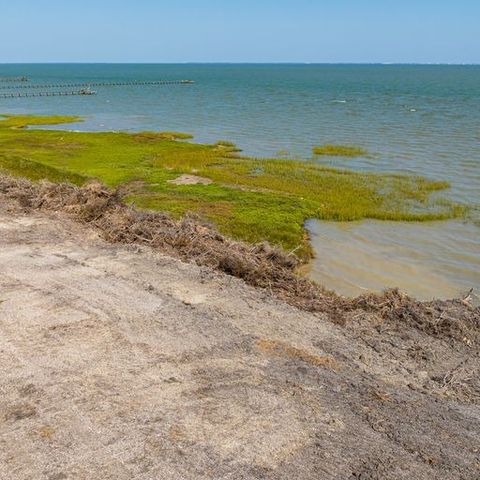 2415 First St, Bayside, TX 78340