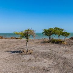 2415 First St, Bayside, TX 78340