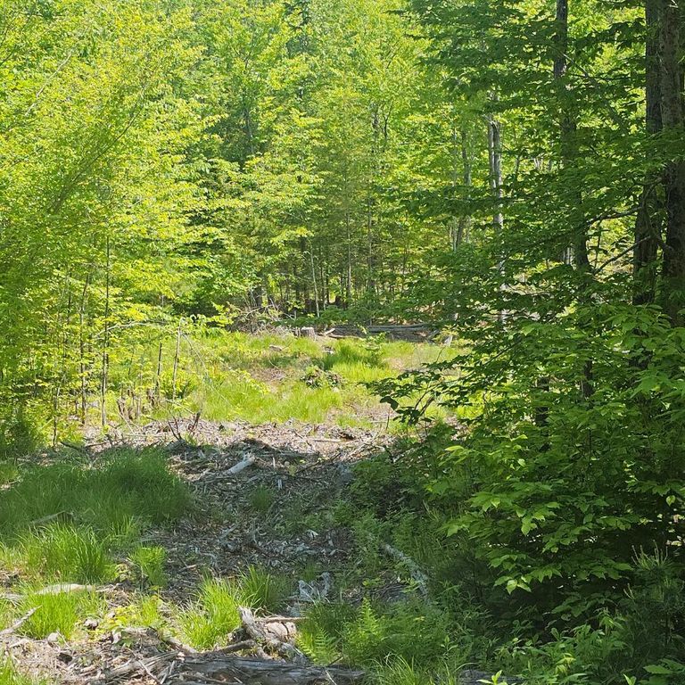 18A Isaac Stevens Road, Bridgton, ME 04009 — photo 4