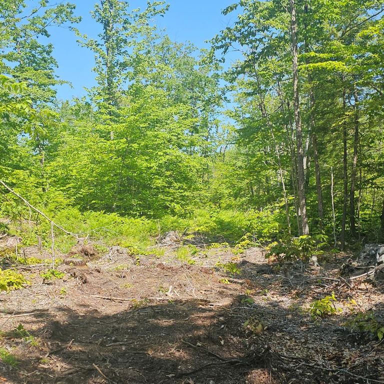 18A Isaac Stevens Road, Bridgton, ME 04009 — photo 5