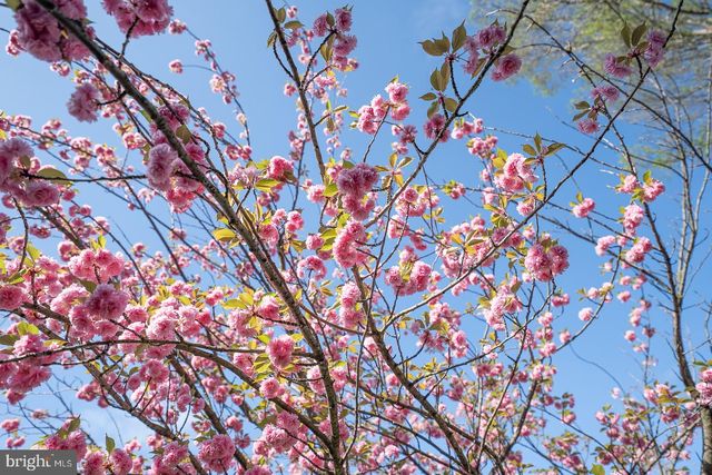 712 STRADONE RD, Bala Cynwyd, PA 19004