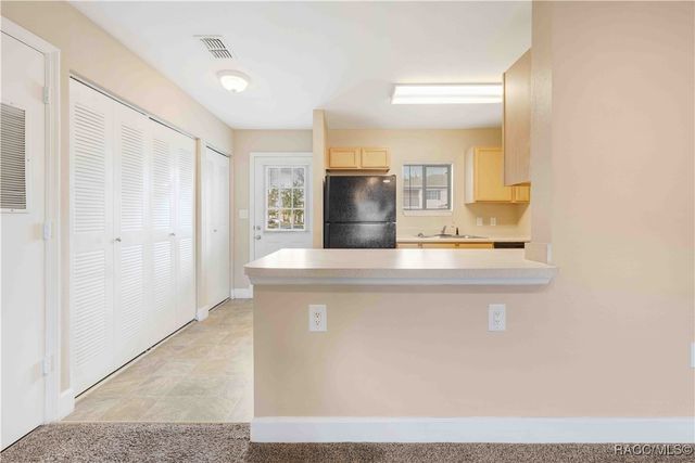 14605 Naimisha Loop, Spring Hill, FL 34609