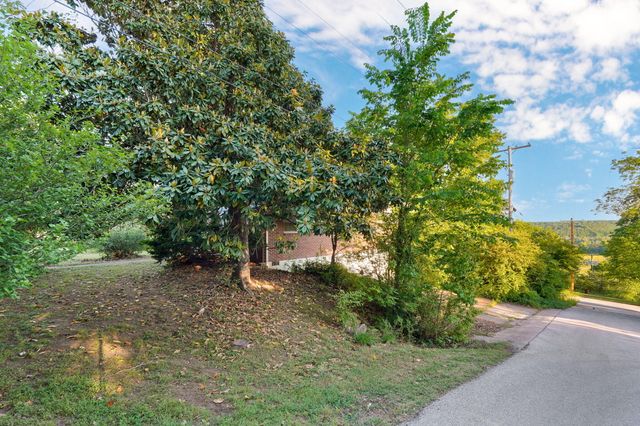 116 Mcclintic Avenue, Forsyth, MO 65653
