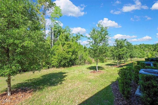 16663 SHELL BAY DRIVE, Land O Lakes, FL 34638
