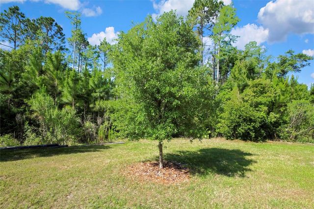16663 SHELL BAY DRIVE, Land O Lakes, FL 34638