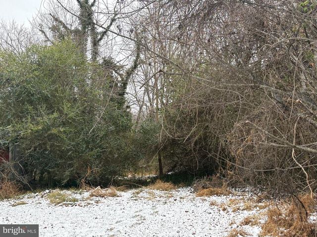 0 MAIN, Madison, VA 22727