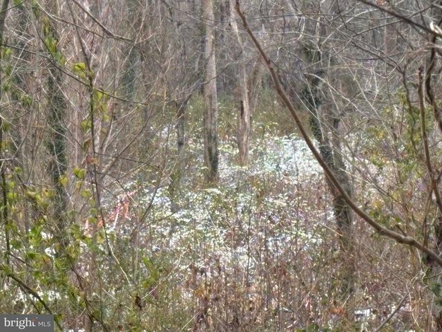 0 MAIN, Madison, VA 22727