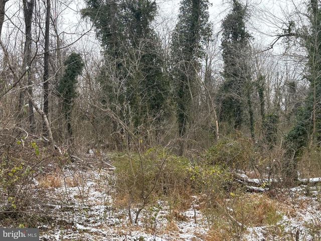 0 MAIN, Madison, VA 22727