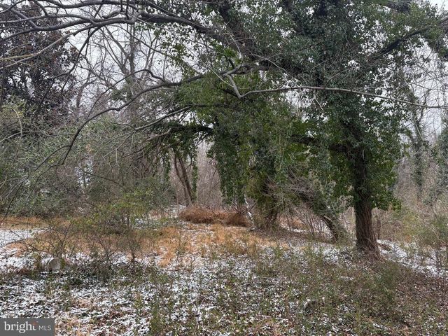 0 MAIN, Madison, VA 22727