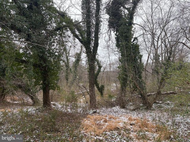 0 MAIN, Madison, VA 22727