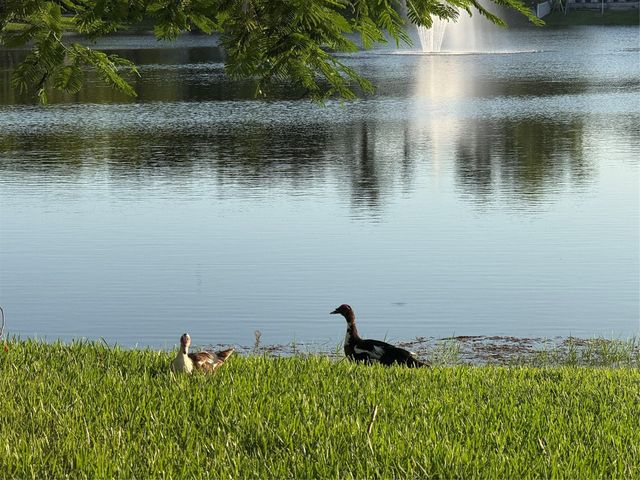 9237 9th Place 9237, Plantation, FL 33324