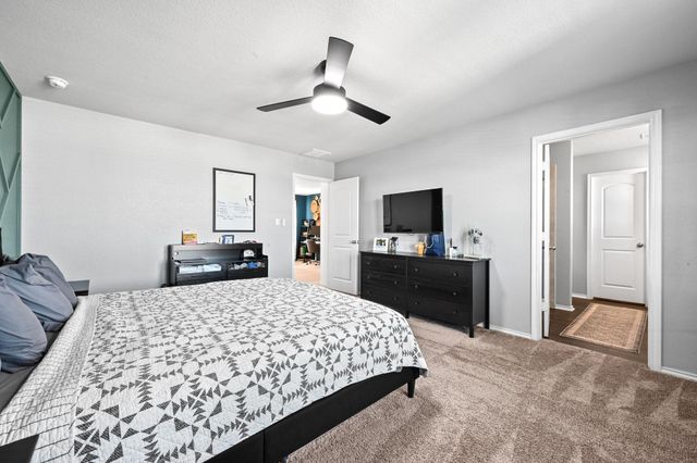 317 Black Alder ST, Georgetown, TX 78626