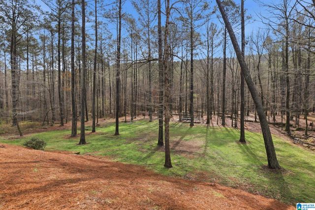 151 CREEKWATER STREET, Helena, AL 35080