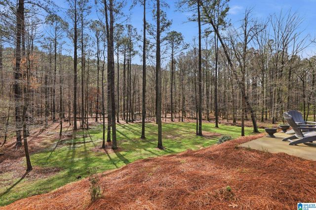 151 CREEKWATER STREET, Helena, AL 35080