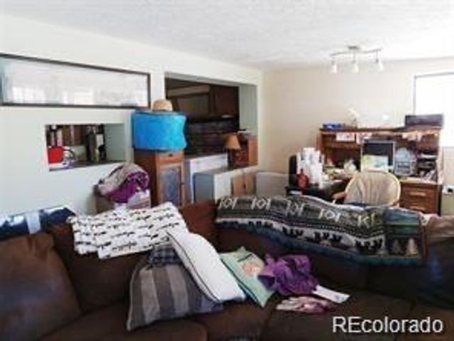 10795 County Road 197 A Unit 105 105, Nathrop, CO 81236