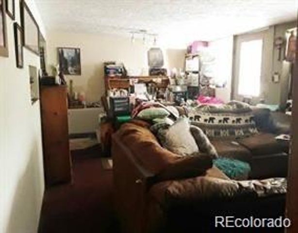 10795 County Road 197 A Unit 105 105, Nathrop, CO 81236