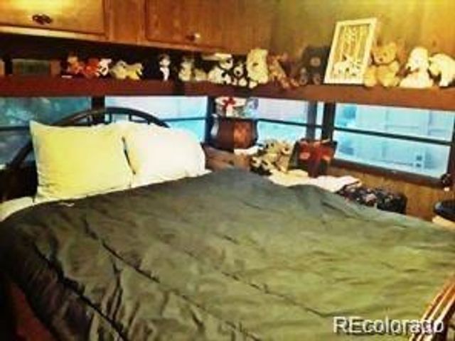 10795 County Road 197 A Unit 105 105, Nathrop, CO 81236