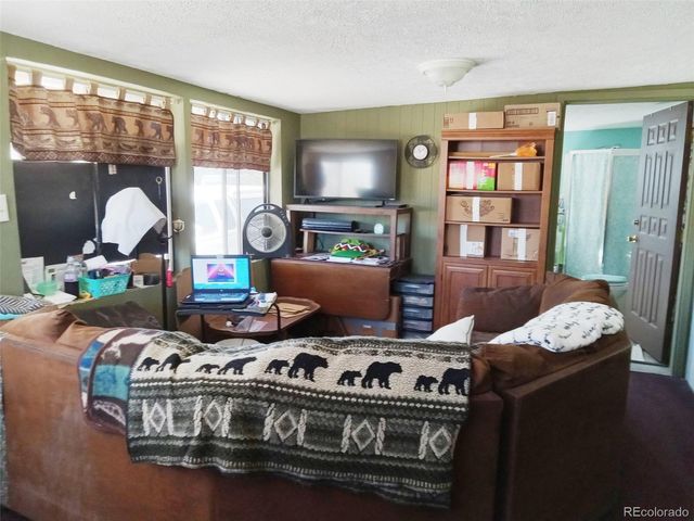 10795 County Road 197 A Unit 105 105, Nathrop, CO 81236