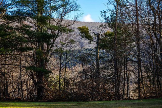 490 Barnumville Road, Manchester, VT 05255