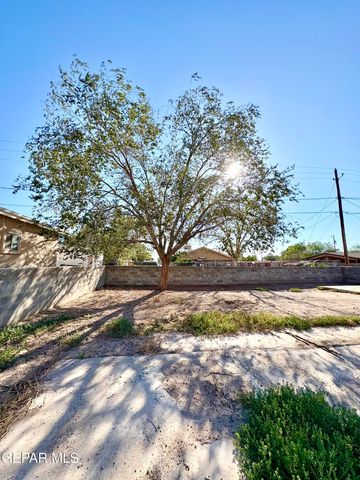 11420 DORIS Road, Socorro, TX 79927