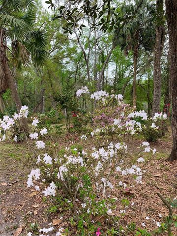 11651 NW 127 LANE, Chiefland, FL 32626