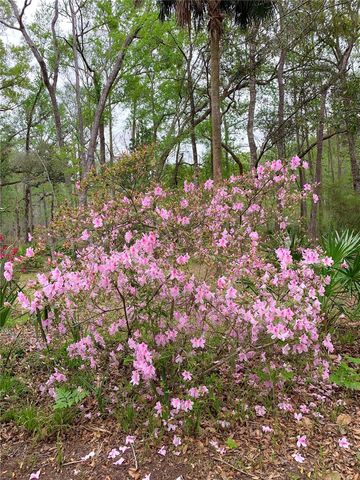 11651 NW 127 LANE, Chiefland, FL 32626