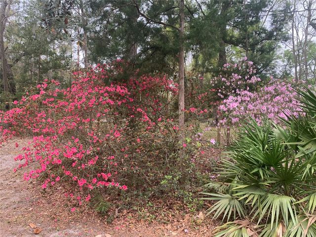 11651 NW 127 LANE, Chiefland, FL 32626