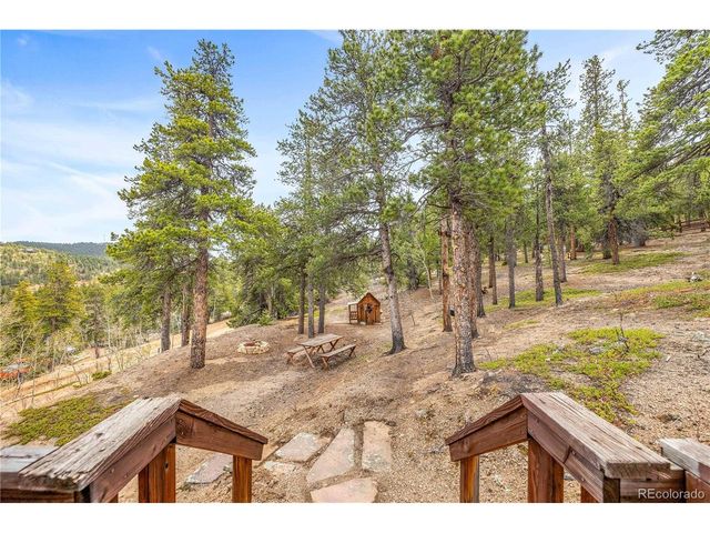 125 Road P62, Bailey, CO 80421
