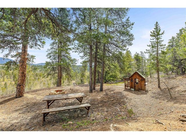 125 Road P62, Bailey, CO 80421