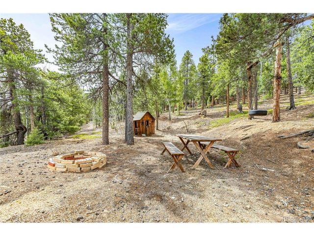 125 Road P62, Bailey, CO 80421