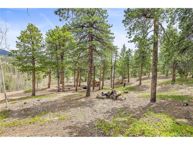 125 Road P62, Bailey, CO 80421