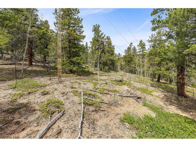 125 Road P62, Bailey, CO 80421