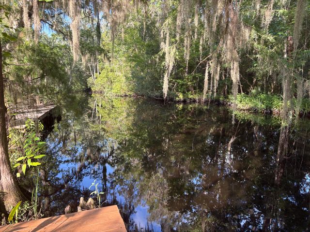 3323 Prices Bridge Lane, Walterboro, SC 29488