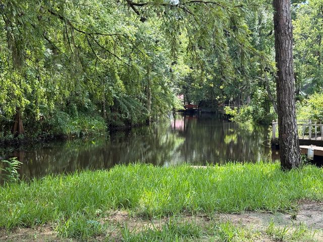 3323 Prices Bridge Lane, Walterboro, SC 29488