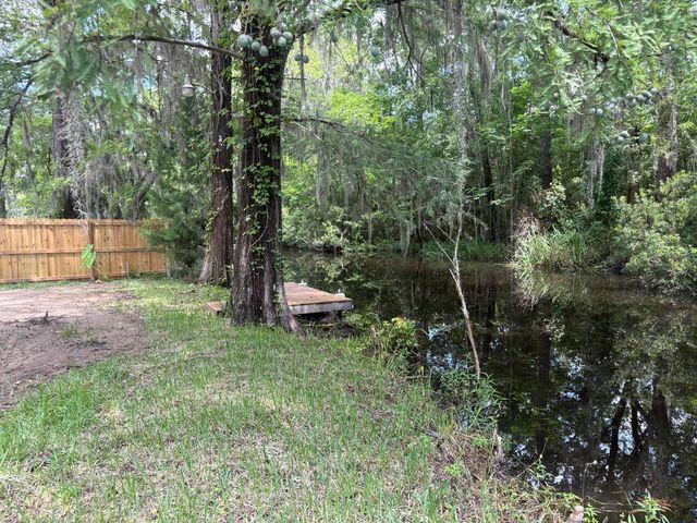 3323 Prices Bridge Lane, Walterboro, SC 29488