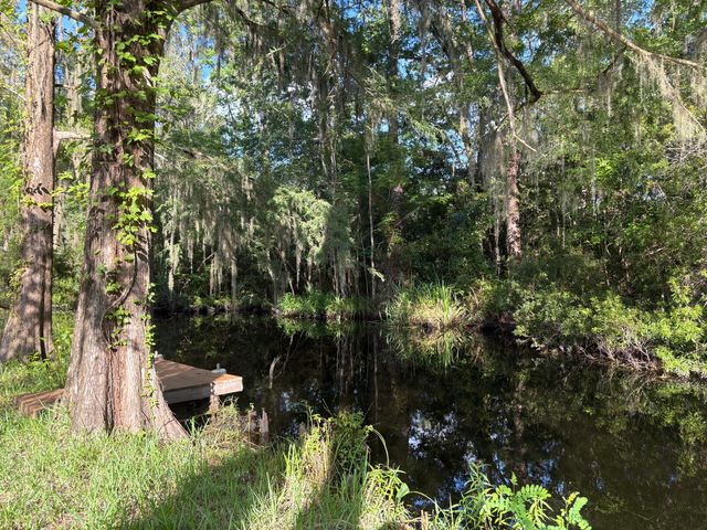 3323 Prices Bridge Lane, Walterboro, SC 29488