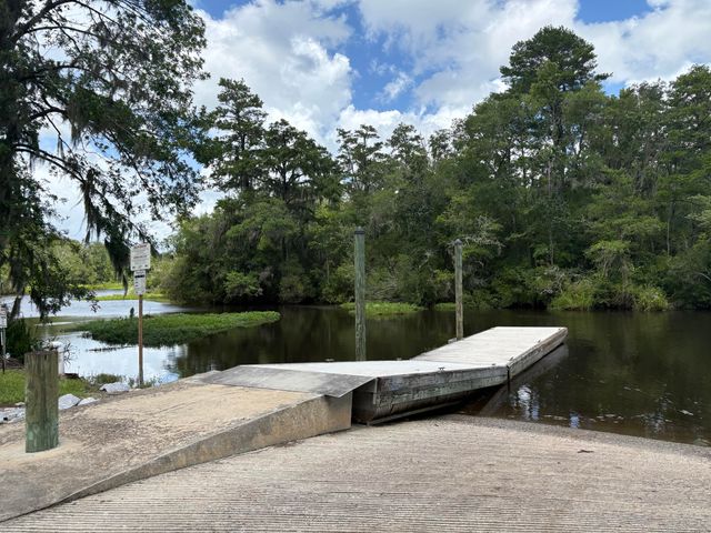 3323 Prices Bridge Lane, Walterboro, SC 29488