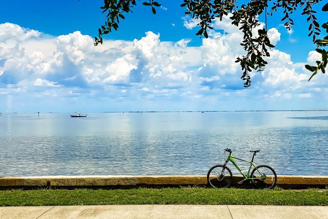 5215 COQUINA KEY DRIVE SE A, St Petersburg, FL 33705