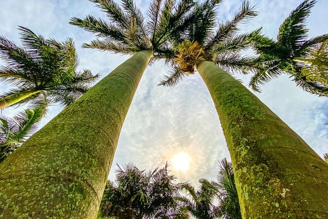 5215 COQUINA KEY DRIVE SE A, St Petersburg, FL 33705