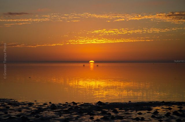 5215 COQUINA KEY DRIVE SE A, St Petersburg, FL 33705