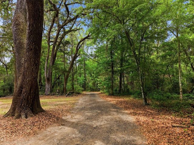 16650 NE 53RD LANE, Williston, FL 32696