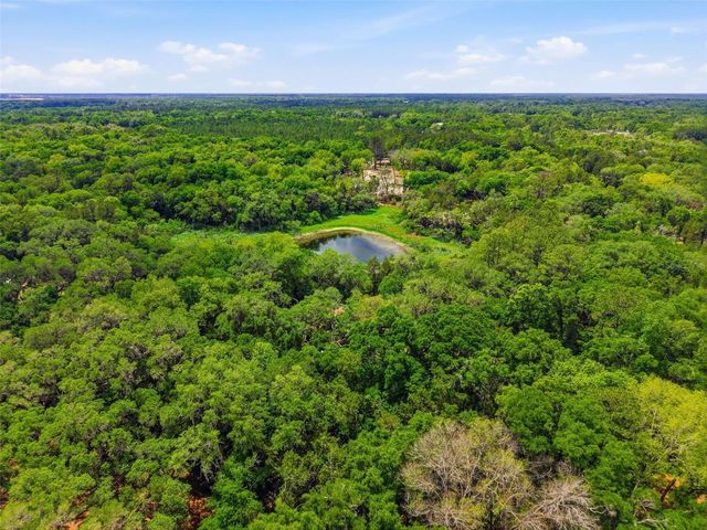 16650 NE 53RD LANE, Williston, FL 32696